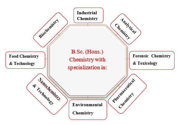 Chemistry Department Academic Program Structure